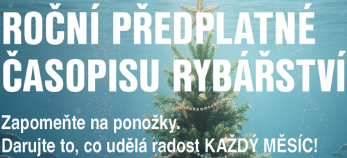 Snímek obrazovky 2025-12-08 095402 (1).png